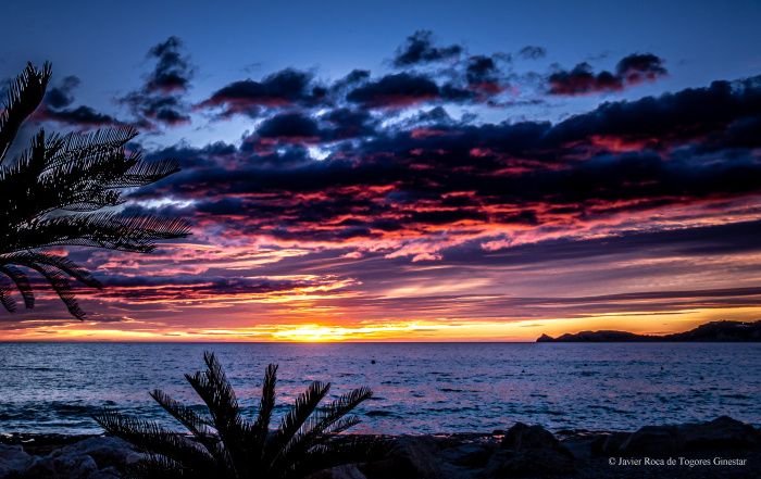 Fotografía de Javier Roca de Togores Ginestar