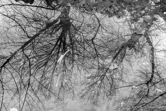 Fotografía de Javier Roca de Togores Ginestar