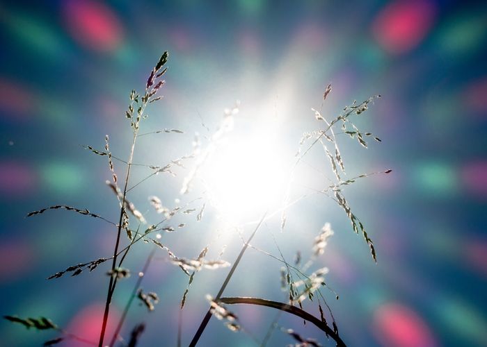 Fotografías del Sol