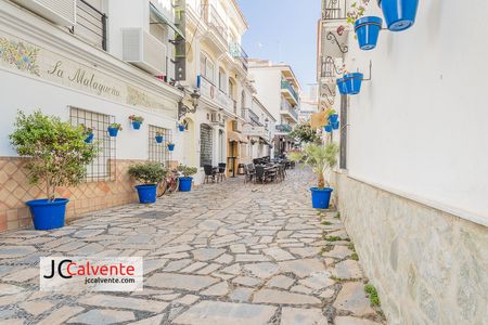 calles estepona macetas fotos stock la malagueña casa del rey peluqueria raquel