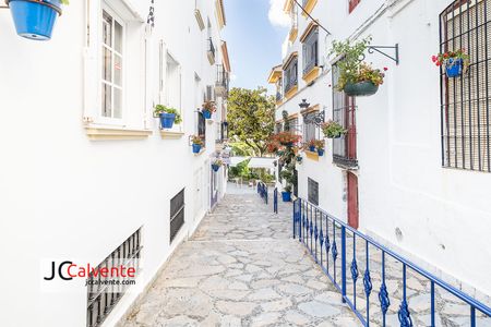 calles estepona plaza flores macetas fotos stock