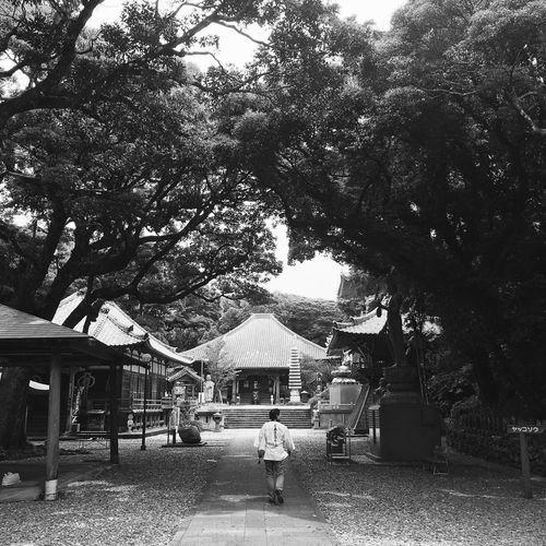 Hotsumisaki-ji. Shikoku