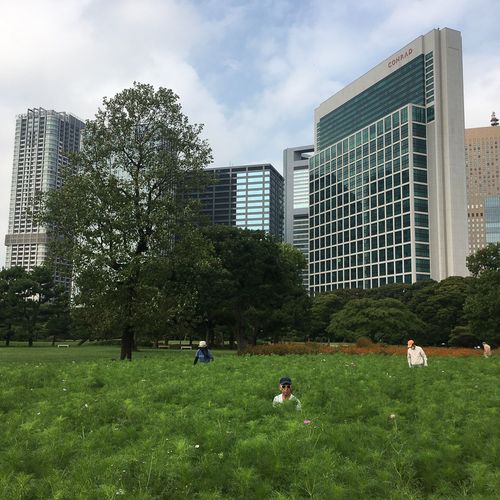 Hamarikyu. Tokio