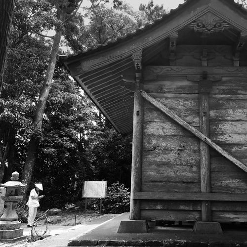 Kongōchō-ji. Shikoku