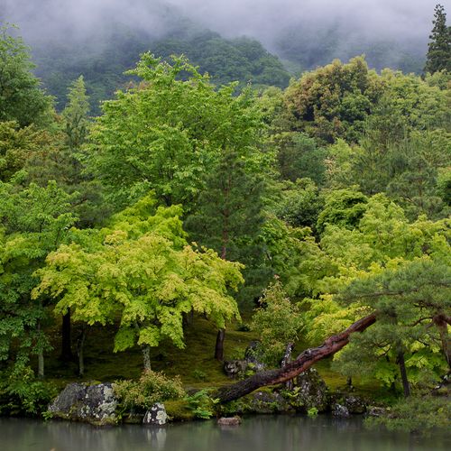 Arashiyama. Kioto