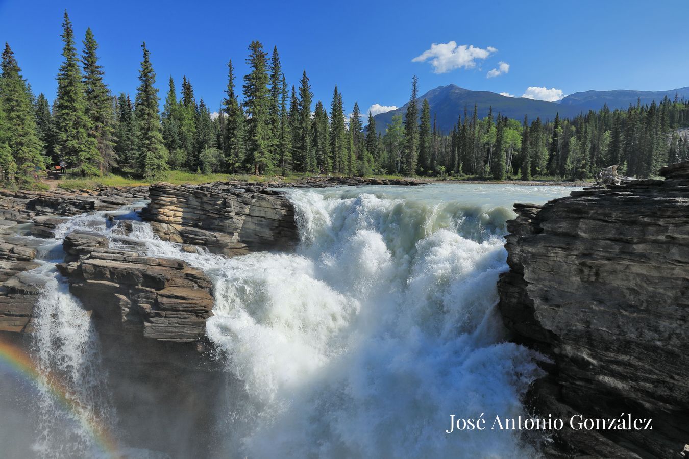 Athabasca falls