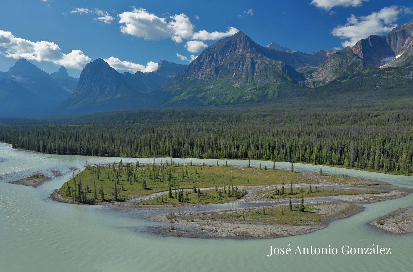 Monte Fryatt y rio Athabasca  