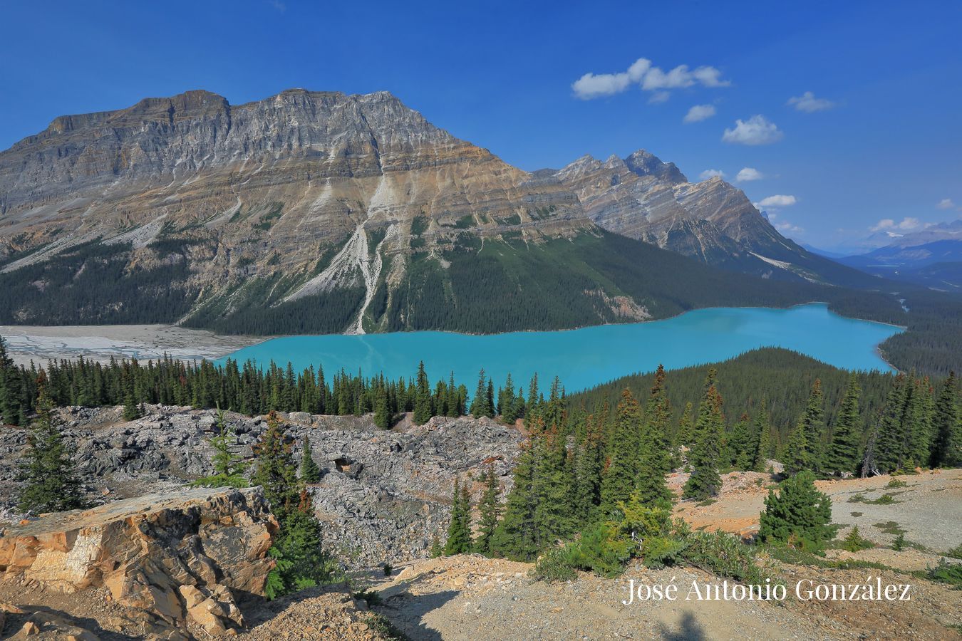 Peyto lake