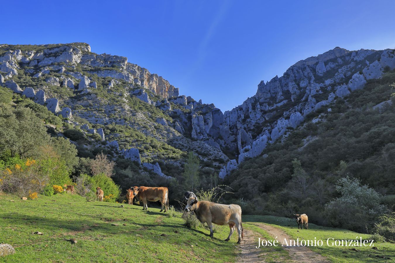 Garganta de los Cárcavos 