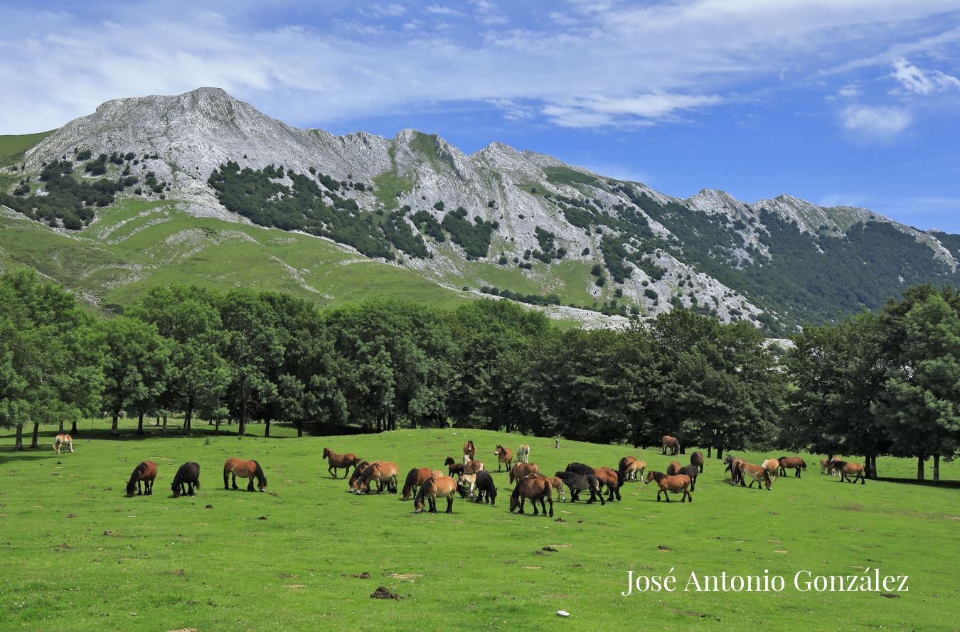 Sierra de Aizkorri