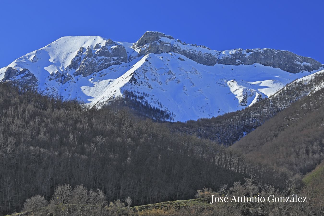 Liebana