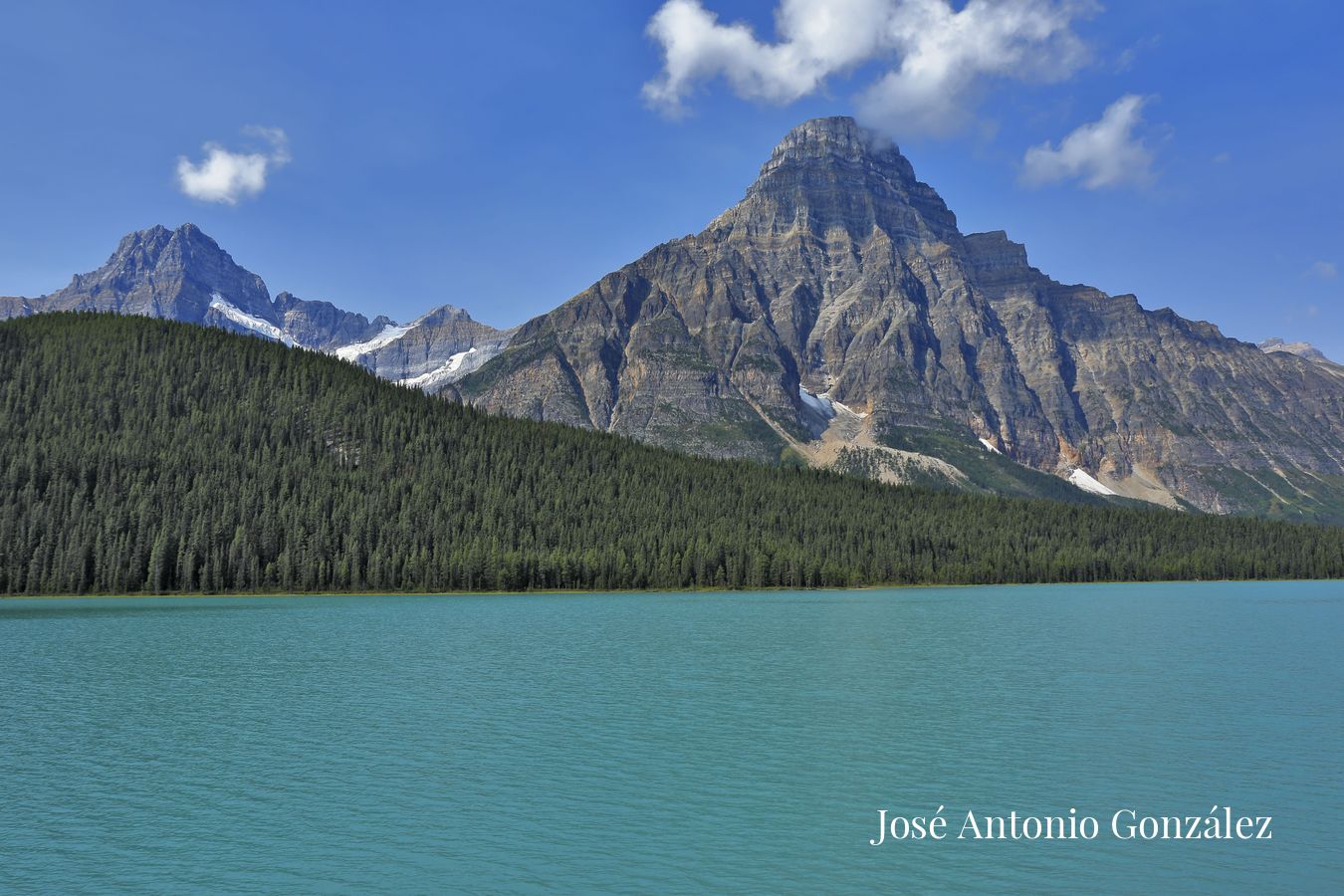 Waterfowl Lake