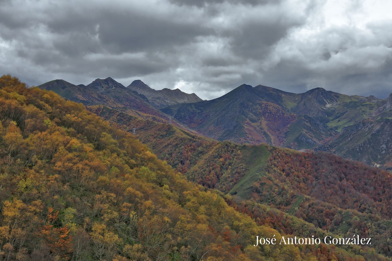 Hayedo de Monte grande