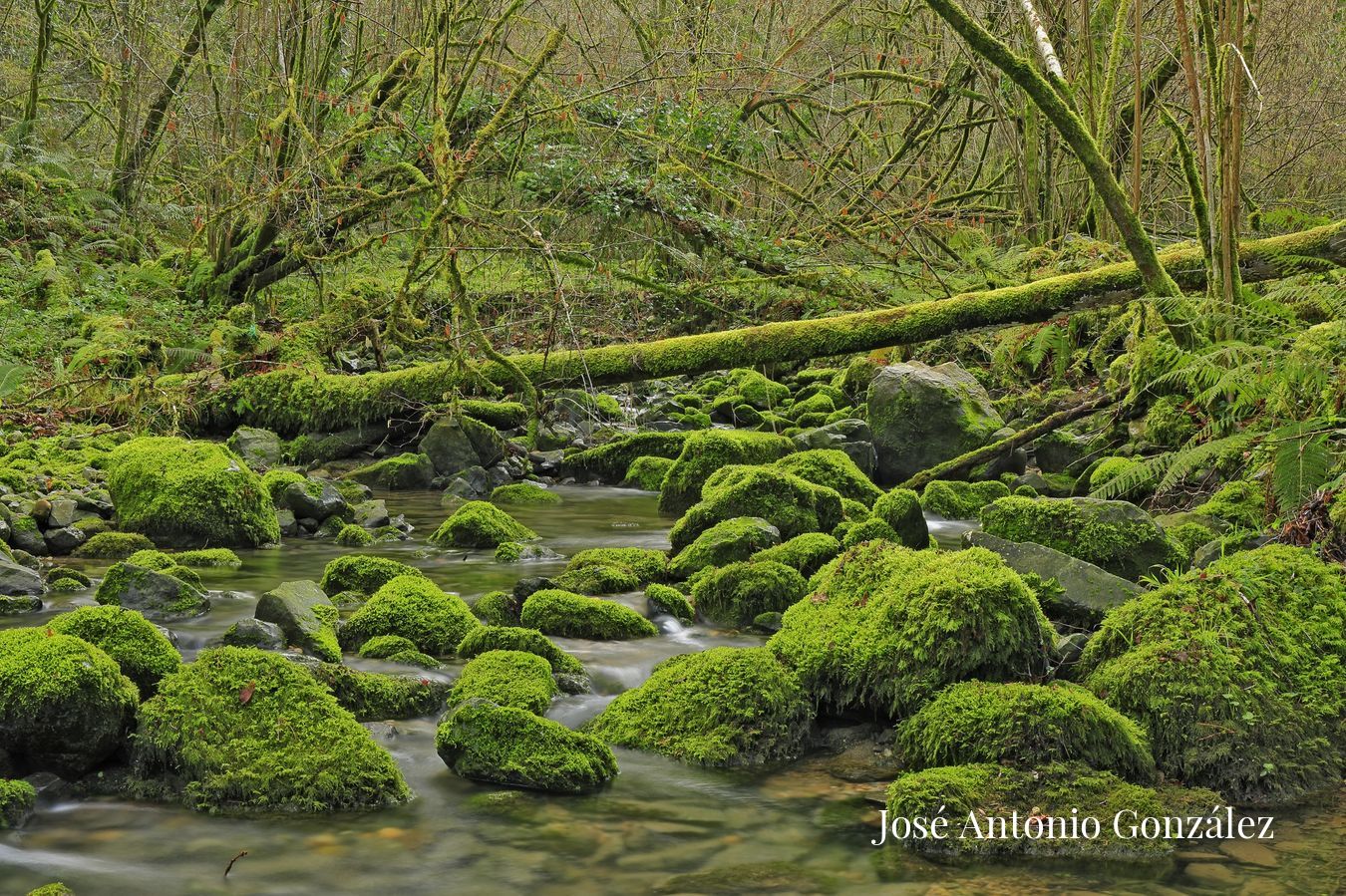 Arroyo de la Llana