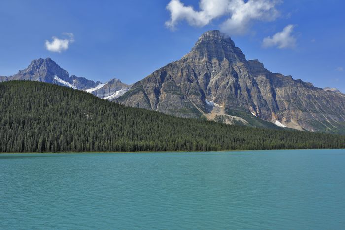 Waterfowl Lake