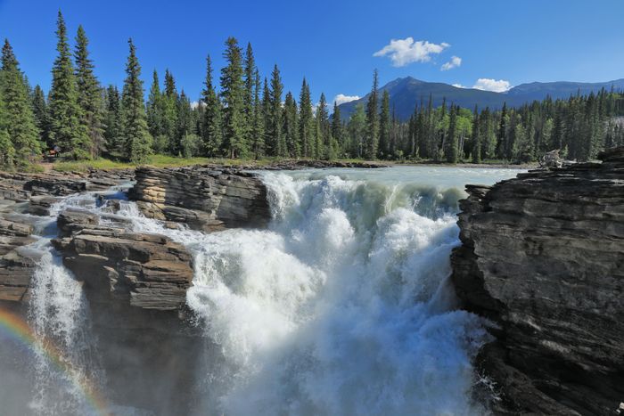 Athabasca falls