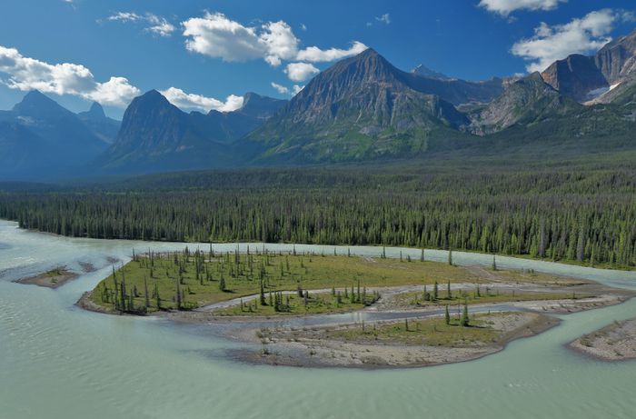 Monte Fryatt y rio Athabasca  