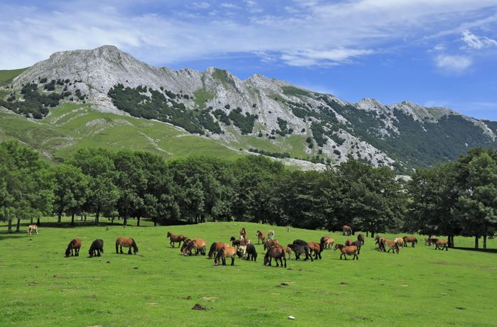 Sierra de Aizkorri