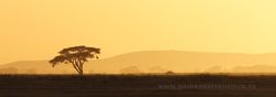Sunset at Amboseli National Park (Kenia)