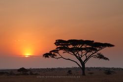 Sunrise at Seronera, Serengeti National Park, Tanzania