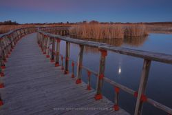 Twilight in Tablas de Daimiel National Park (Spain)
