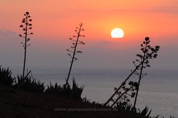 Sunrise in El Estrecho Natural Park, Cádiz (Spain)
