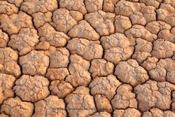 Drought. La Rioja, Spain