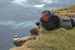 Photographing puffing (Fratercula arctica). Iceland