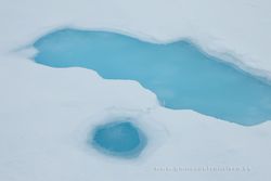 Detalle de la banquisa de hielo. Svalbard