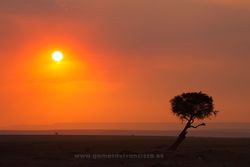 Sunset at Masai Mara, Kenya
