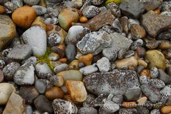 Detalle de una playa de piedras. Svalbard