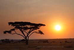 Sunrise at Seronera, Serengeti National Park, Tanzania