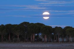 Luna llena en la Reserva Natural de las Lagunas de Villafáfila (Zamora)
