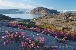Qalerallit, Groenlandia