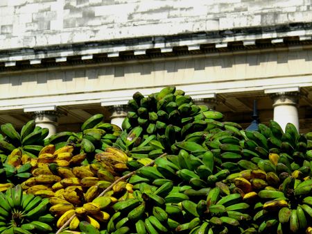 pátanos en la Habana,Cuba