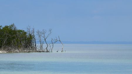 cayo en Cuba