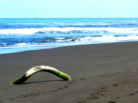 orilla del mar en Costa Rica