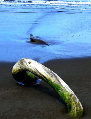 orilla del mar en Costa Rica