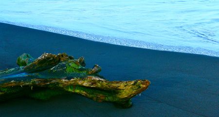 orilla del mar en Costa Rica