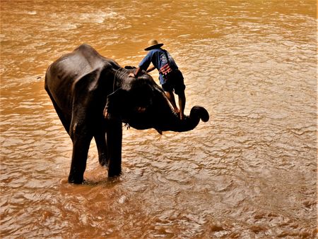 aseando al elefante, Thailandia