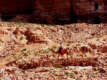 paseando en camello, Petra, Jordania