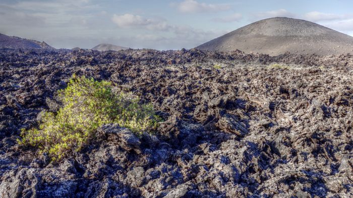 volcanes en Lanzarote