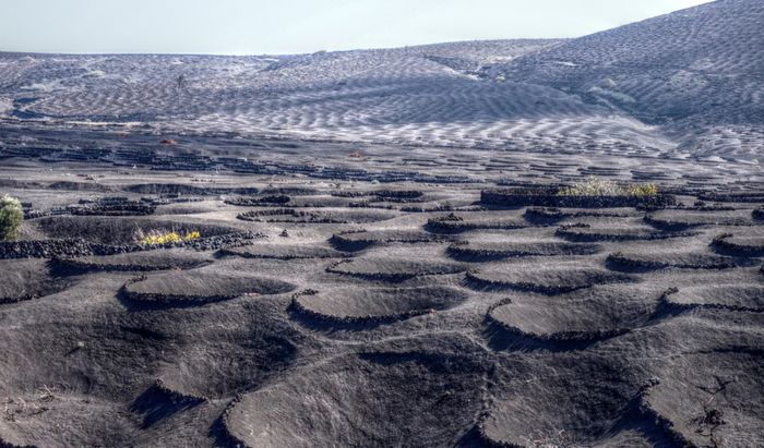 La Geria, Lanzarote