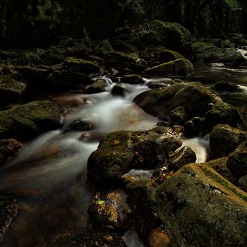 el río despierta II