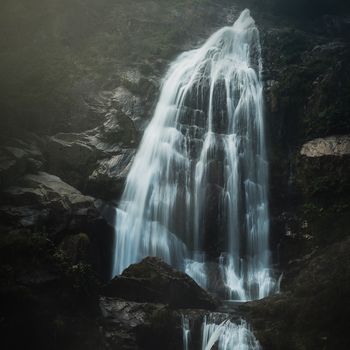 cascada en el bosque