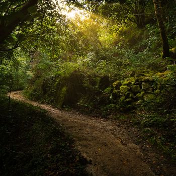 siguiendo el camino