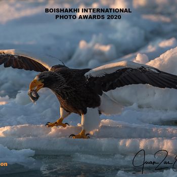 BOISHAKHI INTERNATIONAL AWARDS 2020 Mención de Honor en la categoría de Nature 