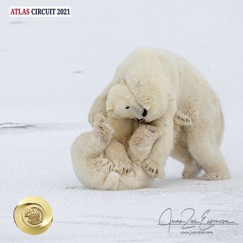 ATLAS CIRCUIT 2021 - Medalla de Oro PSA en la categoría de Nature