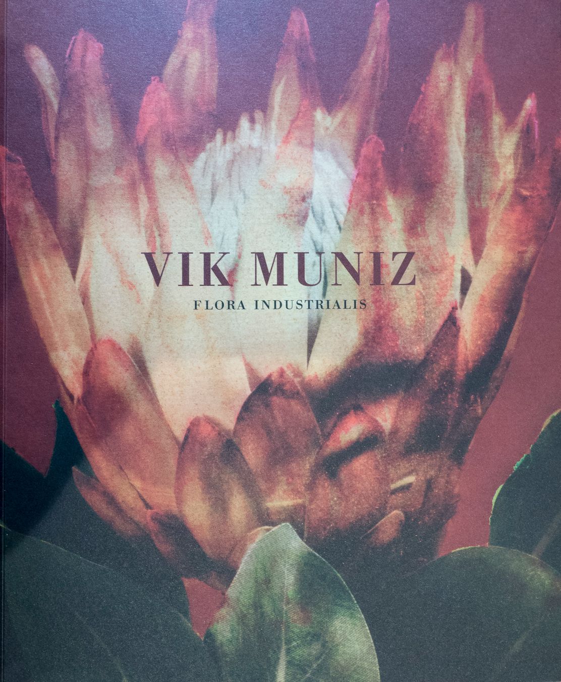 Vik Muniz-Flora industrialis