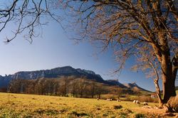 report: Orduña (Bizkaia) - Title:  autumn Mountain Saved (Sierra Salvada)